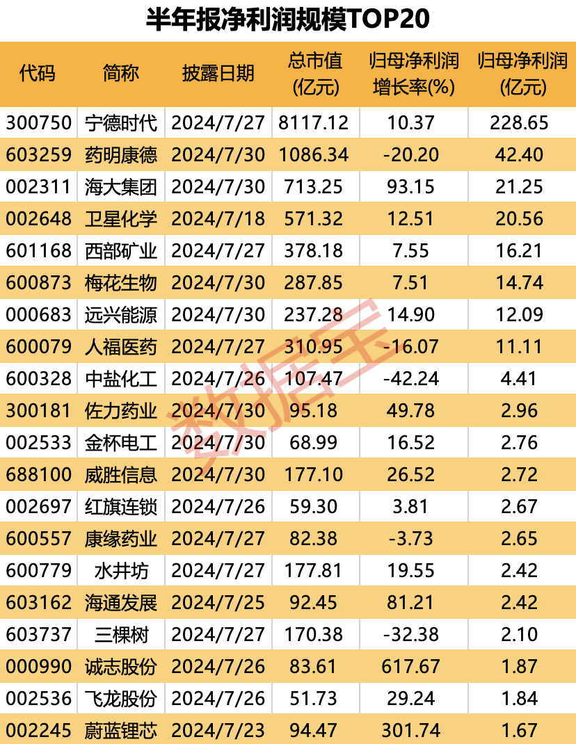 首批50家上市公司半年報出爐 這20家凈利潤規模居前